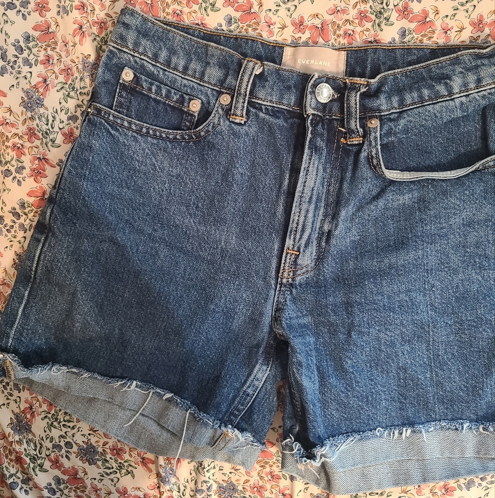 Everlane Blue Denim Cut-out Shorts